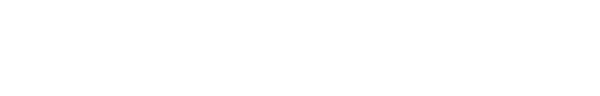 DSSOLUTEC_W.png